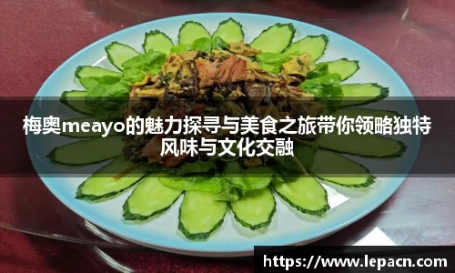 梅奥meayo的魅力探寻与美食之旅带你领略独特风味与文化交融